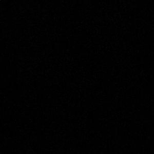 Meet your Posher, Ann